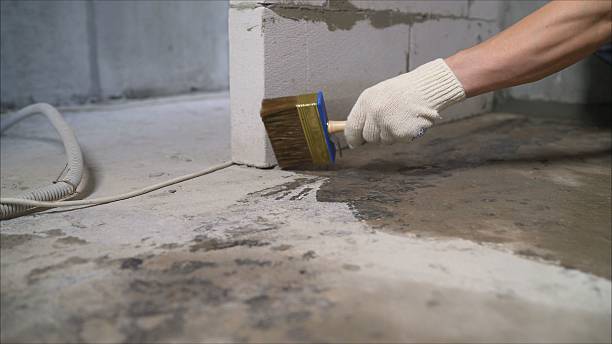 SJ Waterproofing Pros Waterproofing coverage map for Ferrysburg, MI and surrounding area